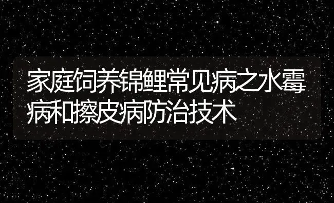 家庭饲养锦鲤常见病之水霉病和擦皮病防治技术 | 动物养殖教程