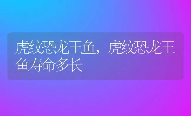 狗狗能吃香蕉吗,狗狗能吃香蕉吗 泰迪 | 宠物百科知识