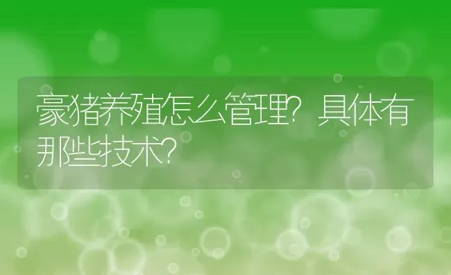 豪猪养殖怎么管理？具体有那些技术？ | 动物养殖百科