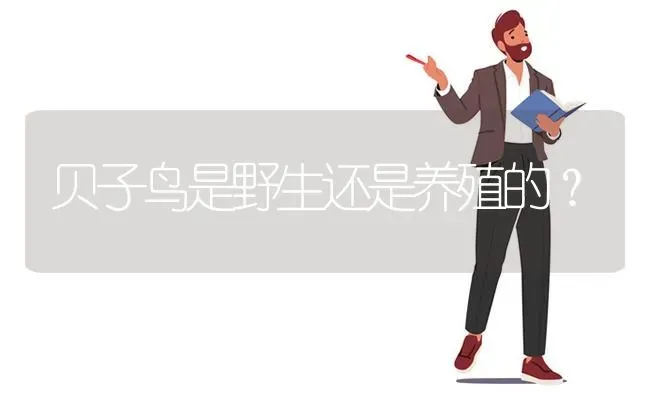 狗狗需要做节育手术吗？ | 动物养殖问答