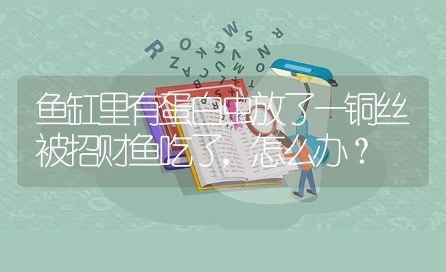 鱼缸里有蛋白虫放了一铜丝被招财鱼吃了，怎么办？ | 鱼类宠物饲养