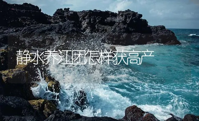 静水养江团怎样获高产 | 海水养殖技术