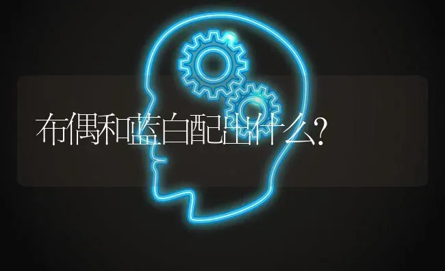 布偶和蓝白配出什么？ | 动物养殖问答