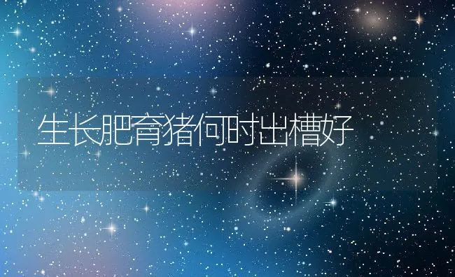 蝎子都是需要哪些营养搭配 山东蝎子养殖基地 | 动物养殖学堂