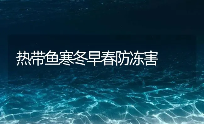 热带鱼寒冬早春防冻害 | 海水养殖技术