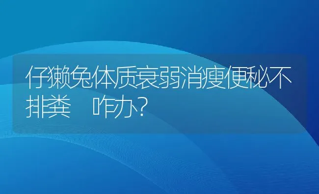 仔獭兔体质衰弱消瘦便秘不排粪 咋办？ | 动物养殖学堂