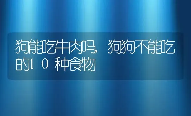 狗能吃牛肉吗,狗狗不能吃的10种食物 | 宠物百科知识