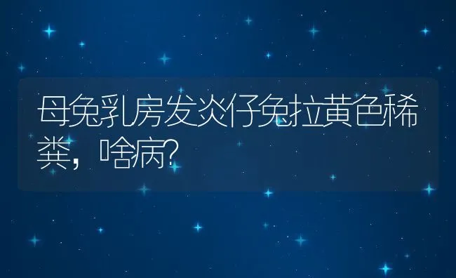 母兔乳房发炎仔兔拉黄色稀粪，啥病？ | 动物养殖学堂