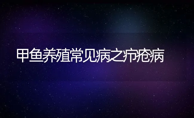 甲鱼养殖常见病之疖疮病 | 水产养殖知识