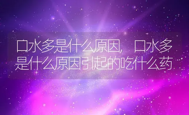 口水多是什么原因,口水多是什么原因引起的吃什么药 | 宠物百科知识