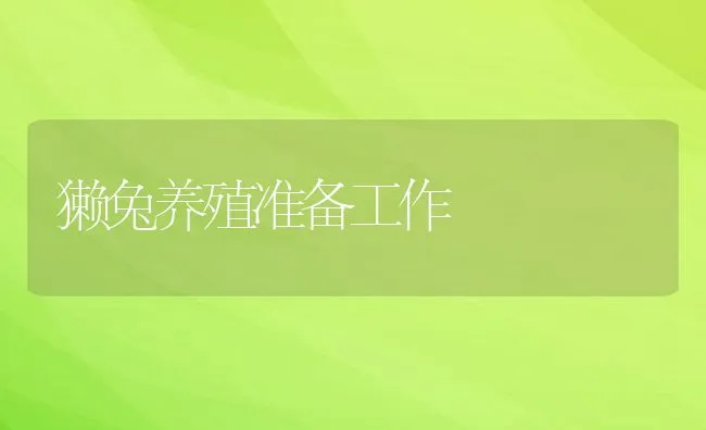 獭兔养殖准备工作 | 水产养殖知识