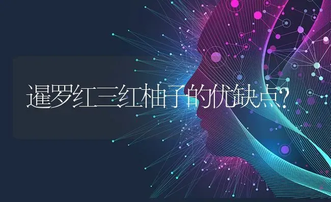 暹罗红三红柚子的优缺点？ | 动物养殖问答