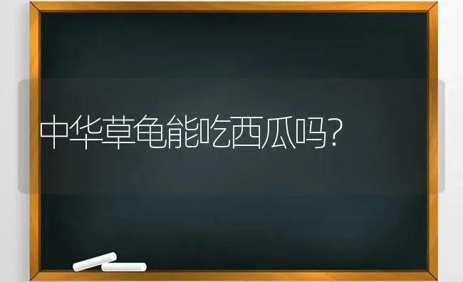 中华草龟能吃西瓜吗？ | 动物养殖问答