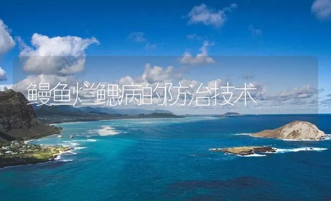 鳗鱼烂鳃病的防治技术 | 海水养殖技术