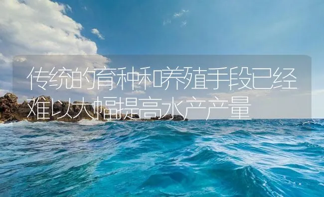 传统的育种和养殖手段已经难以大幅提高水产产量 | 海水养殖技术