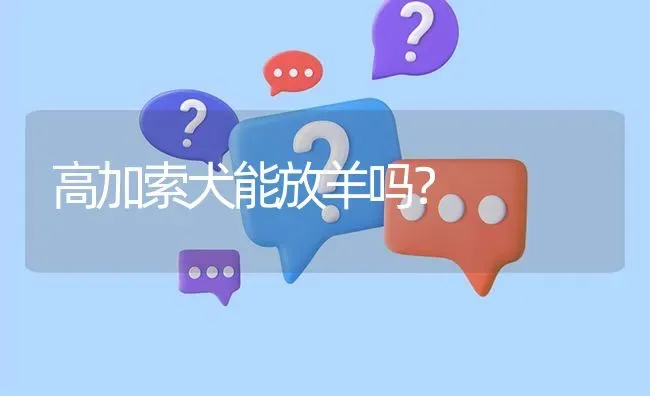 高加索犬能放羊吗？ | 动物养殖问答