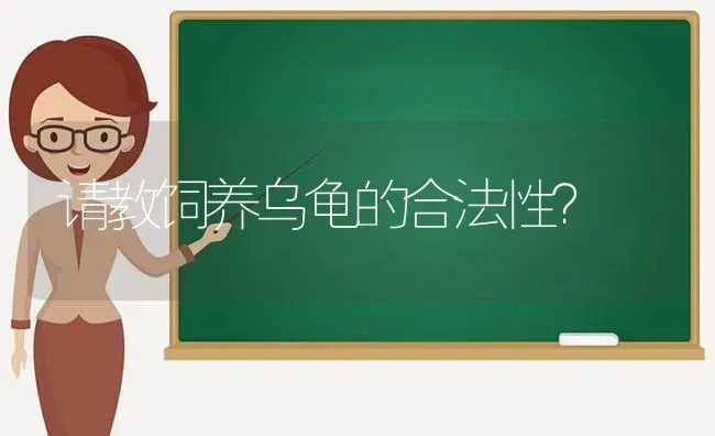 请教饲养乌龟的合法性？ | 动物养殖问答