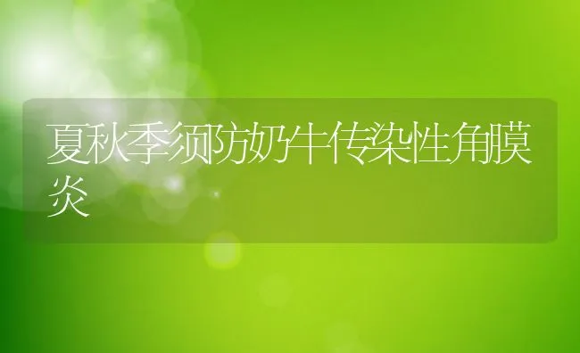 夏秋季须防奶牛传染性角膜炎 | 动物养殖学堂