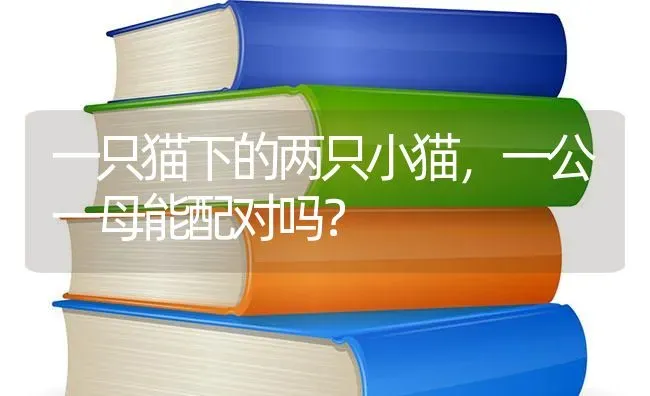 伊泽瑞尔狗粮是国产的吗？ | 动物养殖问答