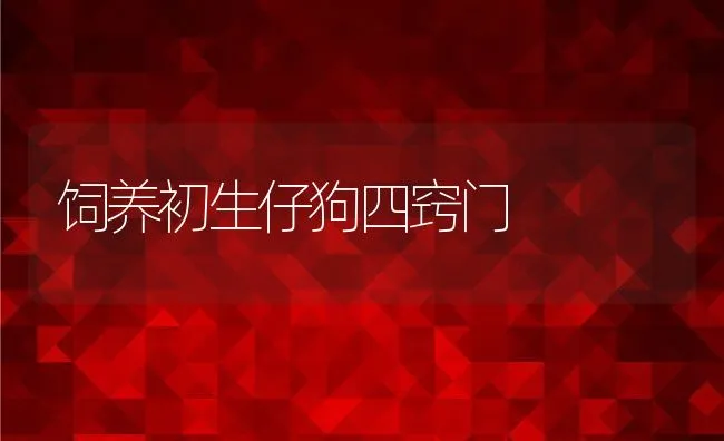 黄鳝养殖之越冬简单管理法 | 动物养殖学堂