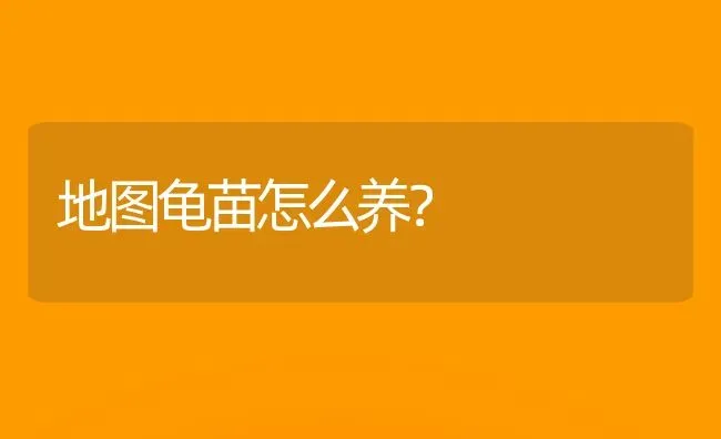 地图龟苗怎么养？ | 动物养殖问答