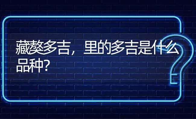 藏獒多吉，里的多吉是什么品种？ | 动物养殖问答