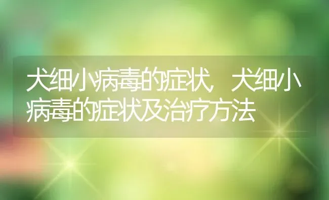 犬细小病毒的症状,犬细小病毒的症状及治疗方法 | 宠物百科知识