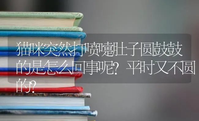 猫咪突然打喷嚏肚子圆鼓鼓的是怎么回事呢?平时又不圆的？ | 动物养殖问答