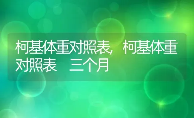 柯基体重对照表,柯基体重对照表 三个月 | 宠物百科知识