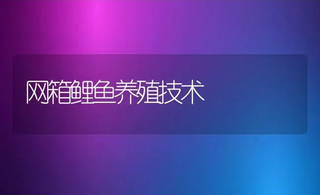 网箱鲤鱼养殖技术 | 淡水养殖技术