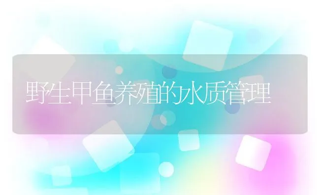 野生甲鱼养殖的水质管理 | 水产养殖知识