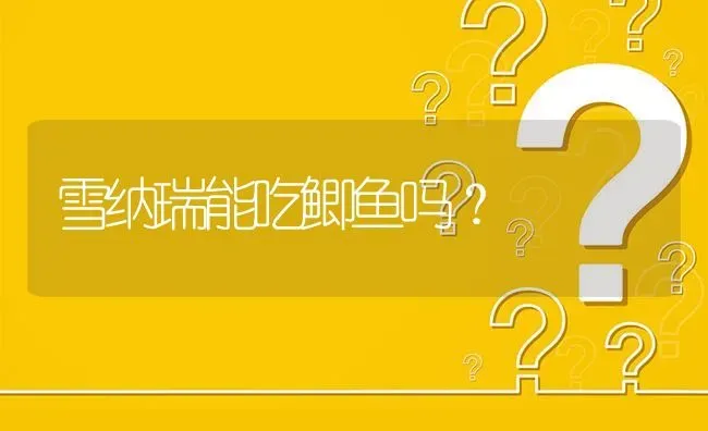 雪纳瑞能吃鲫鱼吗？ | 动物养殖问答