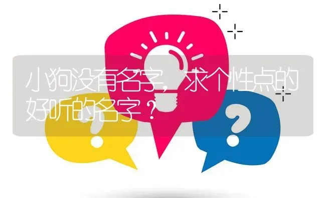 小狗没有名字，求个性点的好听的名字？ | 动物养殖问答