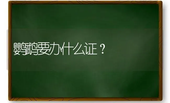 鹦鹉要办什么证？ | 动物养殖问答