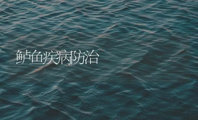 鲈鱼疾病防治 | 海水养殖技术