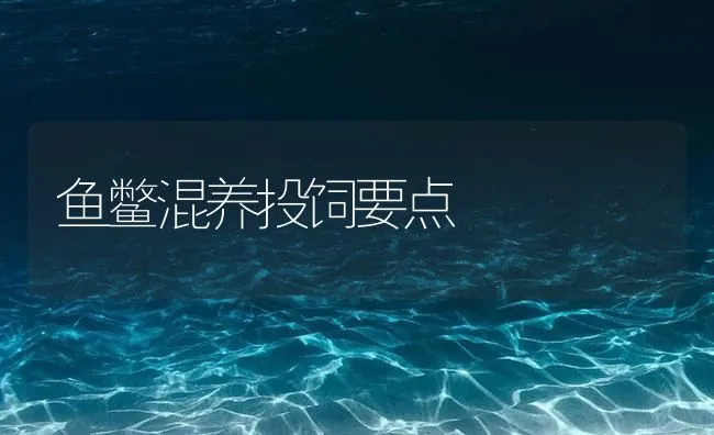 鱼鳖混养投饲要点 | 海水养殖技术