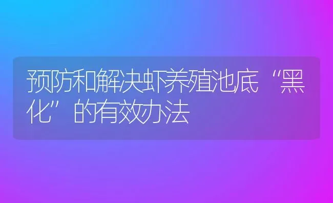 预防和解决虾养殖池底“黑化”的有效办法 | 淡水养殖技术