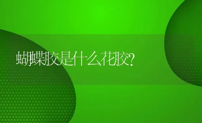 蝴蝶胶是什么花胶？ | 鱼类宠物饲养