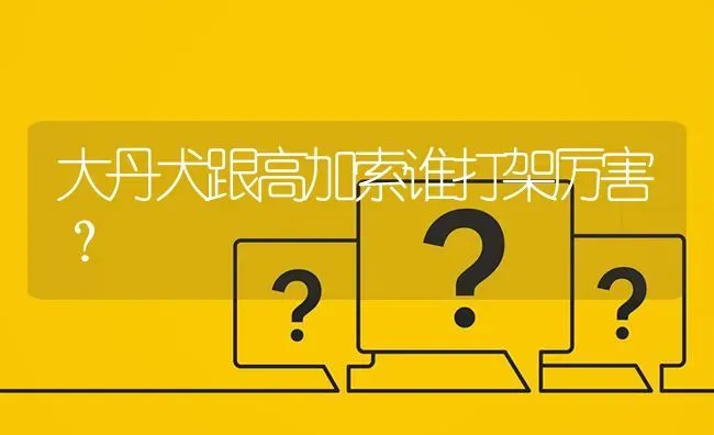 大丹犬跟高加索谁打架厉害？ | 动物养殖问答