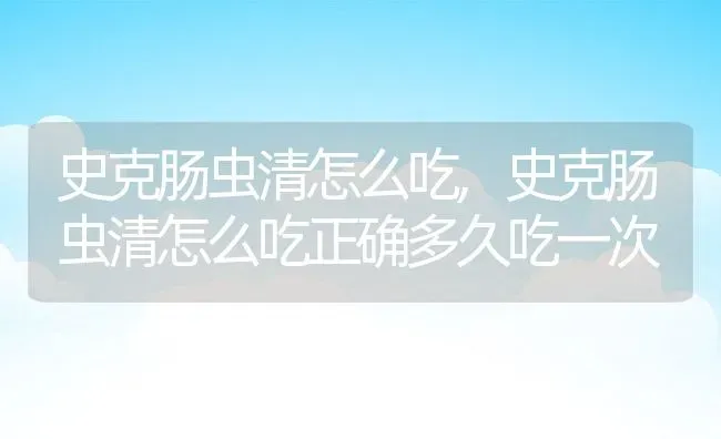 史克肠虫清怎么吃,史克肠虫清怎么吃正确多久吃一次 | 宠物百科知识