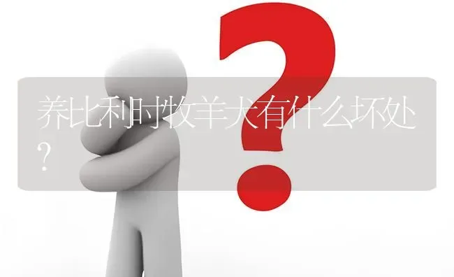 养比利时牧羊犬有什么坏处？ | 动物养殖问答