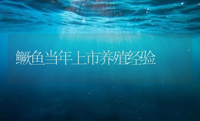 鳜鱼当年上市养殖经验 | 海水养殖技术