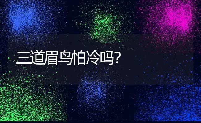 三道眉鸟怕冷吗？ | 动物养殖问答