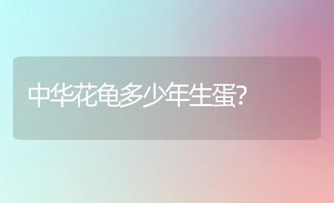 金毛都有几种颜色，金毛的九种颜色，金毛什么颜色好？ | 动物养殖问答