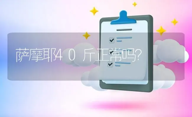 萨摩耶40斤正常吗？ | 动物养殖问答