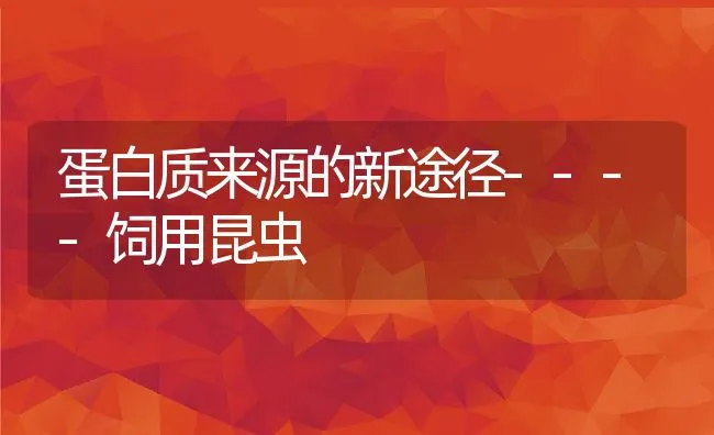 蛋白质来源的新途径----饲用昆虫 | 动物养殖学堂