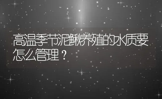 高温季节泥鳅养殖的水质要怎么管理？ | 动物养殖百科