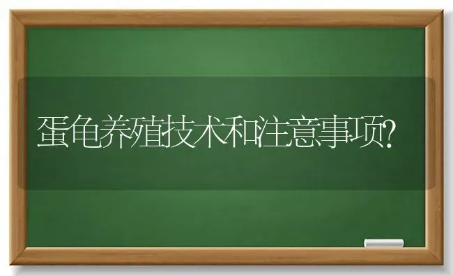 蛋龟养殖技术和注意事项？ | 动物养殖问答