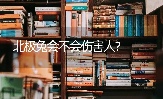 北极兔会不会伤害人？ | 动物养殖问答