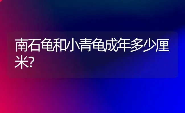 红豆雀二级保护动物？ | 动物养殖问答